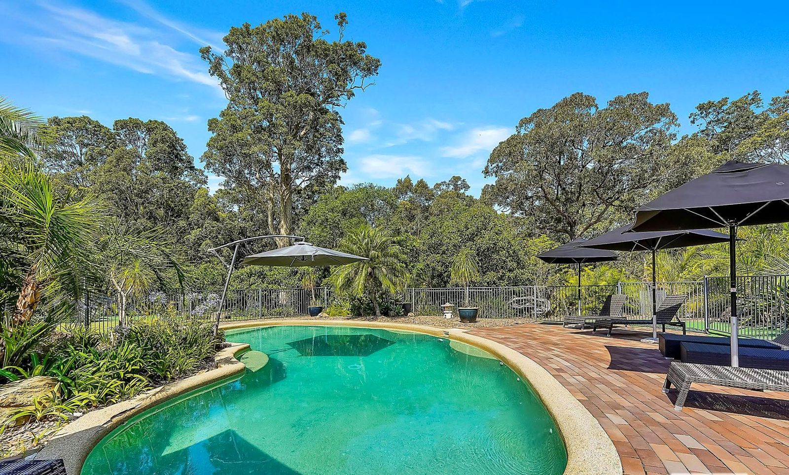 The pool under the trees